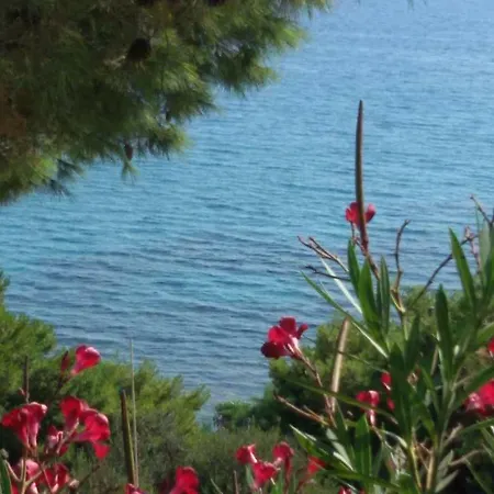 Villa Villa Blu